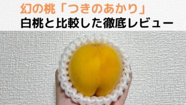 希少品種の桃｜「つきあかり」の味と他との違いを徹底レビュー